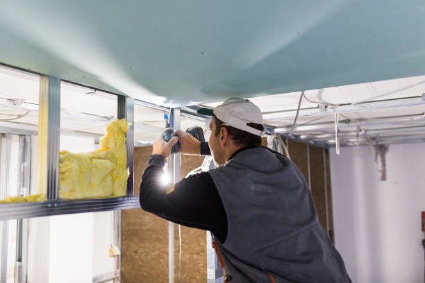 Best Residential Insulation in Dunbar, WV